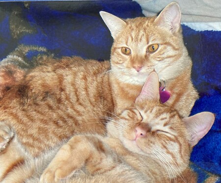 Mini Vin and Mylo
