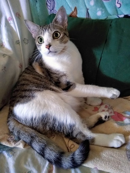 Zoe (Zoey)