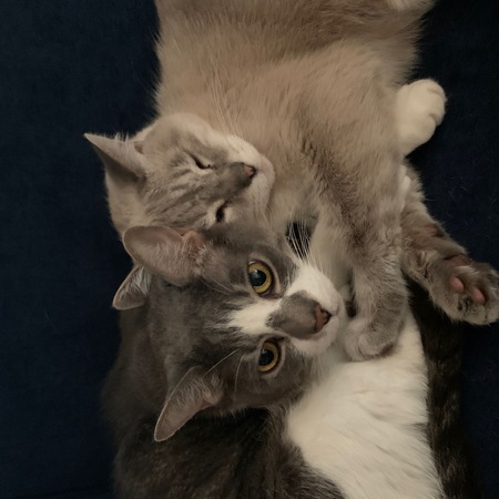 Juno and Zachary