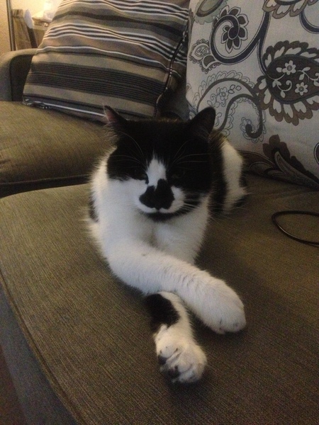Sir Reginald Jones Mandeville