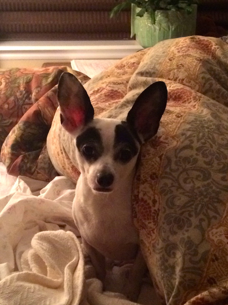 PeeWee