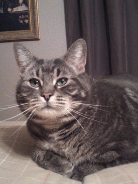 Baxter