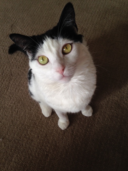 Jilly