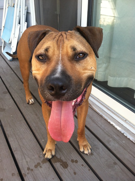 Buster Brown