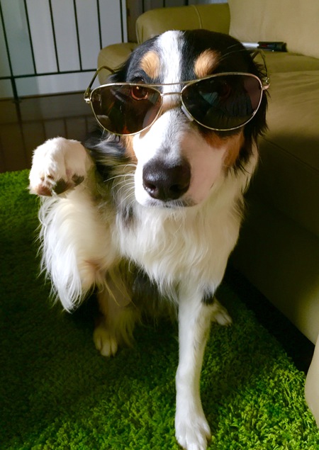 Cooper