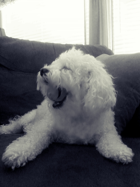 Billy