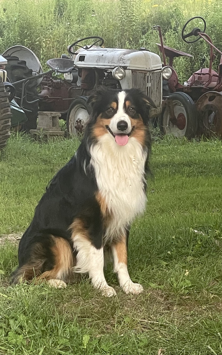 Duke