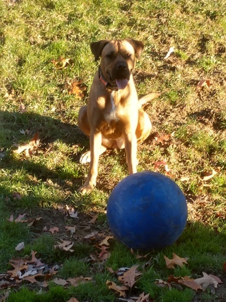 Roxie
