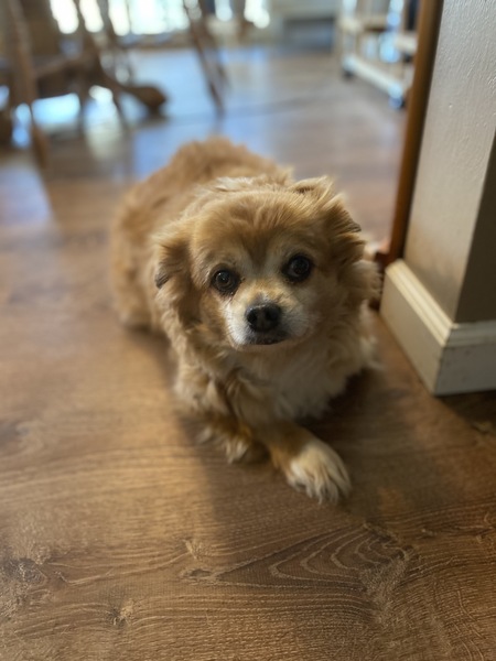 Louie