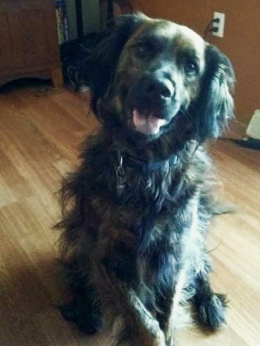 Sampson