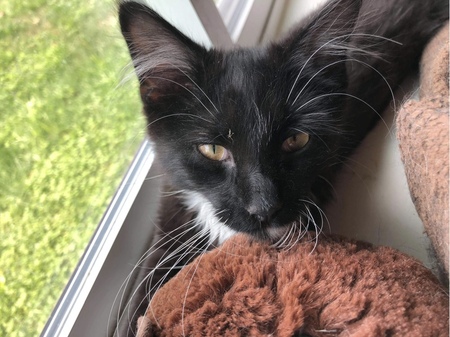Oliver