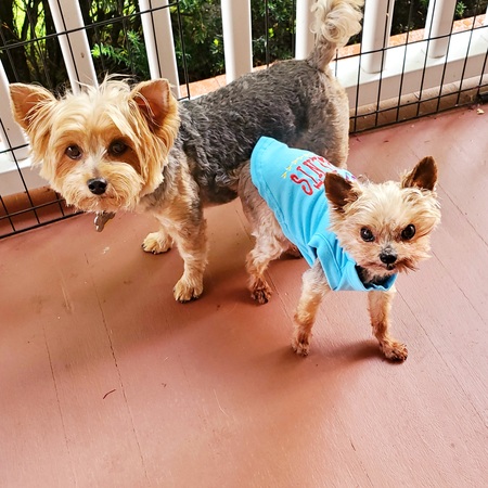 Max and Cruz