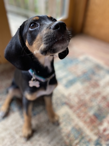 Molly