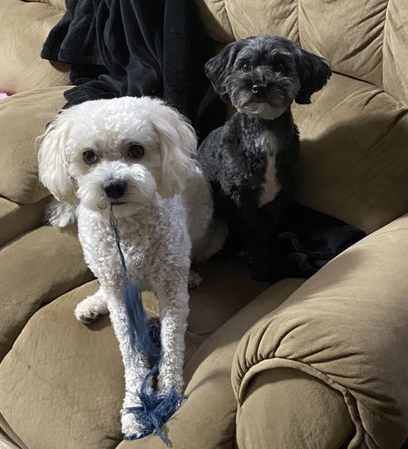 Max and Malcolm 