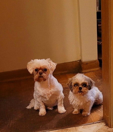 Emma and Brady