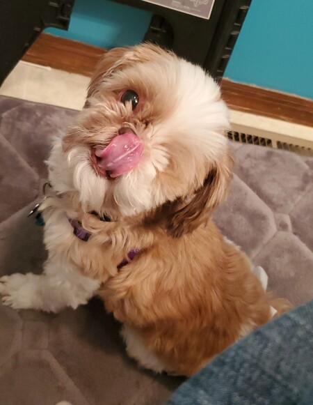 Winnie