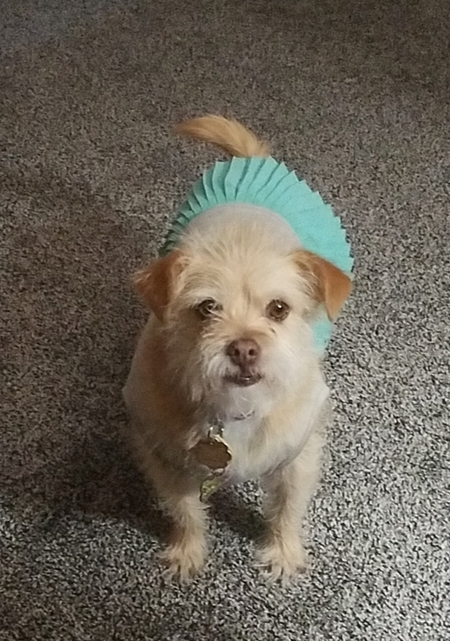 Millie 