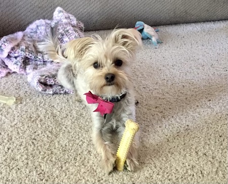 Macie Mae 