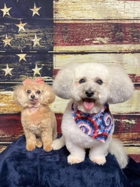 BB & Sadie
