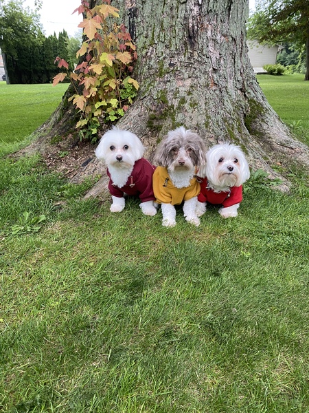 Phoebe Piper and Charlie 