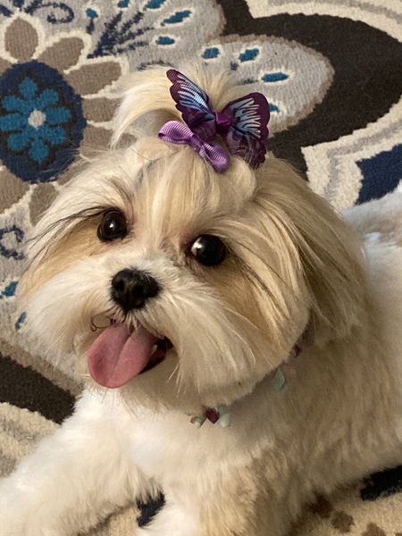Maizy Joy