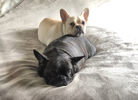 Vader and Güera