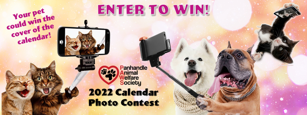 Panhandle Animal Welfare Society | Paws 2022 Calendar Contest