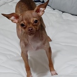 Entry image for Precious