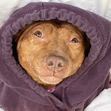 Entry image for Misha 