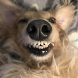 Entry image for Winston