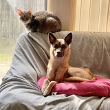 Entry image for Winston and Kairi