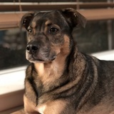 Entry image for Cody 