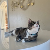 Entry image for Chile