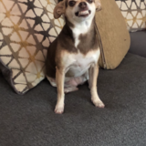 Entry image for Baby