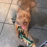 Entry image for Thor