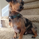 Entry image for Kona