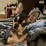 Entry image for Mally 