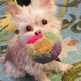 Entry image for Edward G.