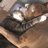 Entry image for Bella and Mia