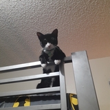 Entry image for Sabrina