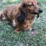 Entry image for Tucker