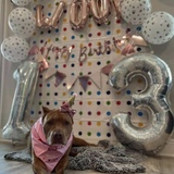 Entry image for Karma