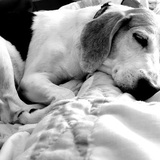 Entry image for Mindy Lou