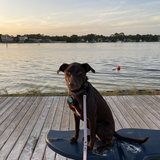 Entry image for Raina