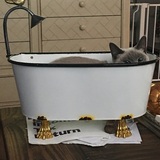 Entry image for Bristol