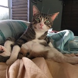 Entry image for Fisher