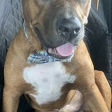 Entry image for Wayne 