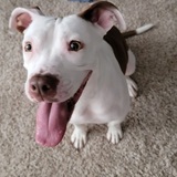 Entry image for Zella