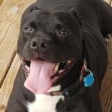 Entry image for Marcie