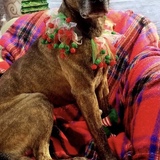 Entry image for Skye